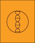 Faculties