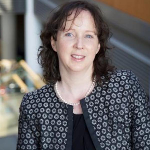Professor Lisa Looney apoointed the new Vice President for Academic Affairs (Registrar) at DCU
