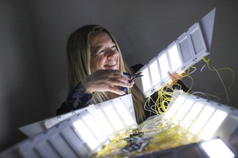 Fiona McDonald - Artist in Residence in Technology and Innovation