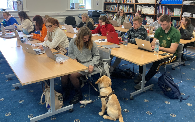Support dog in class with students