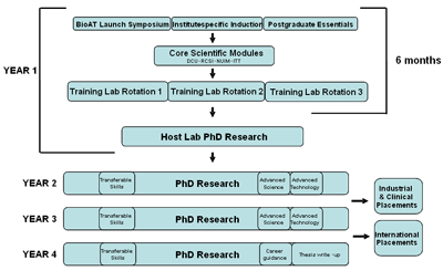 programme structure programme structure