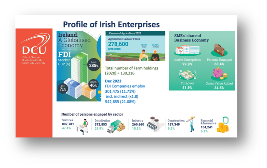 irish enterprises