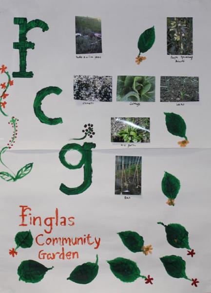 President's Award for Engagement - 2013, Poster Finglas Community Garden