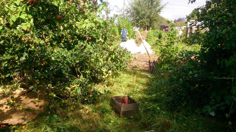 DCU Community Garden