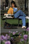 Girl on Bench