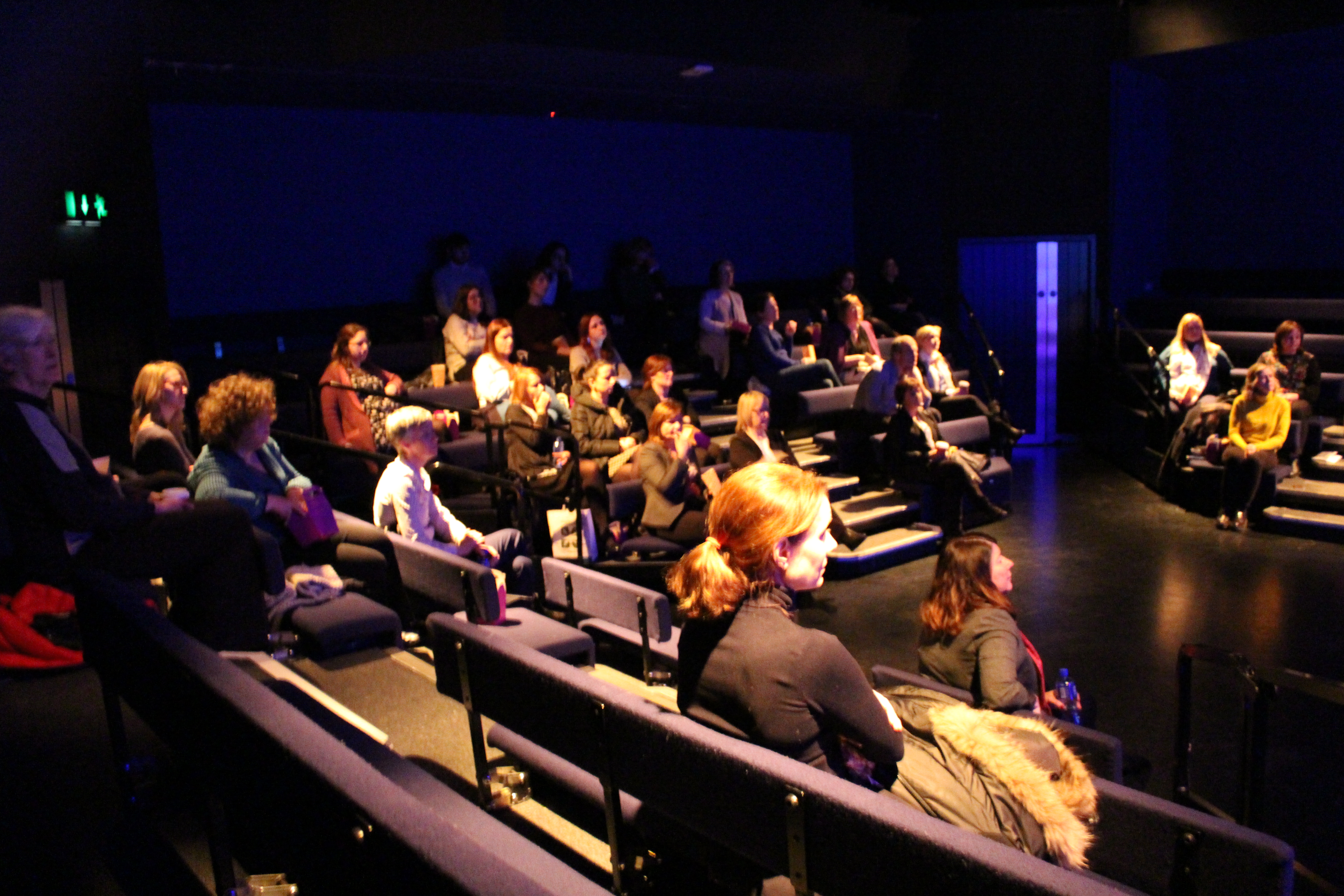 Audience at TED Talk