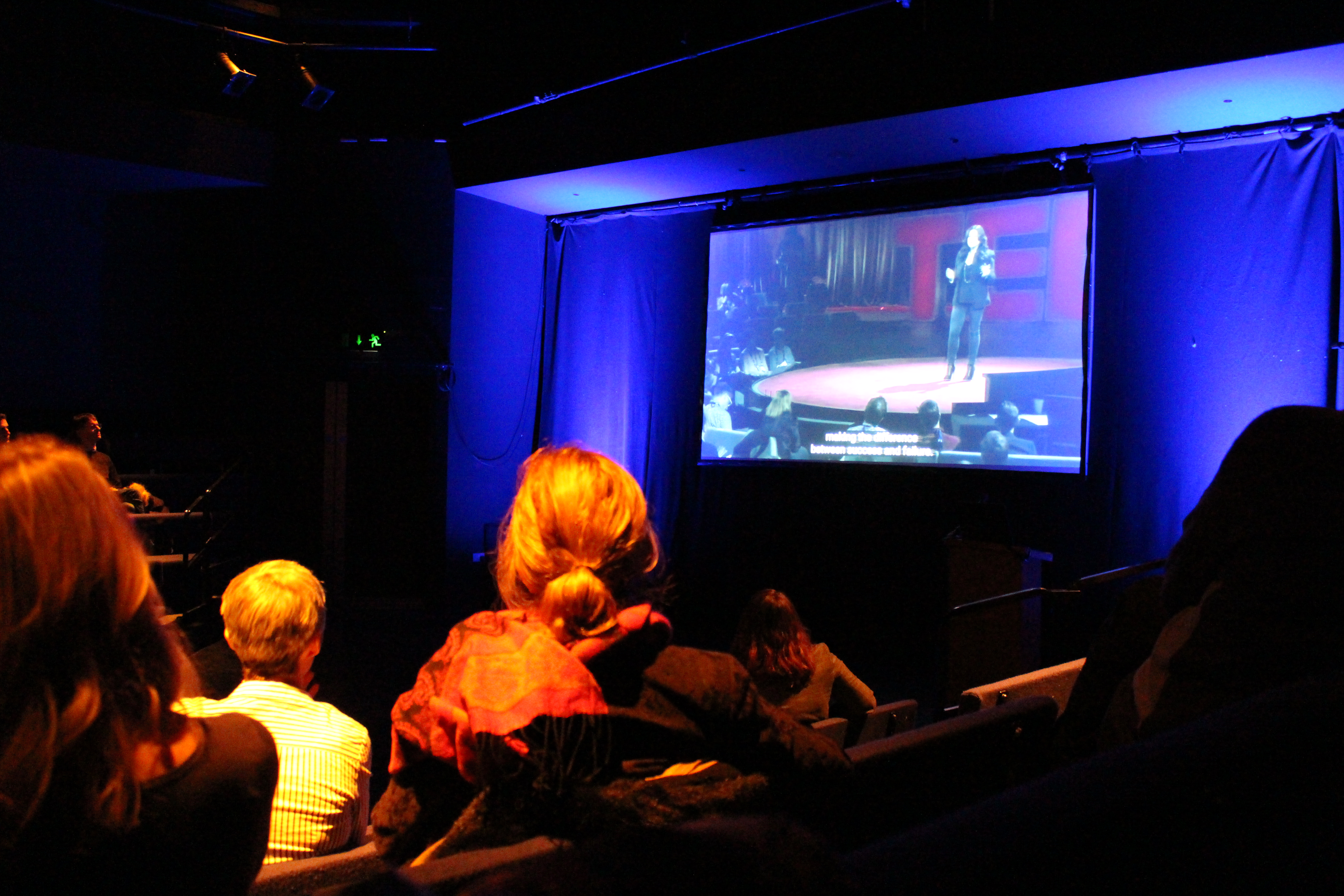 Audience at TED Talk