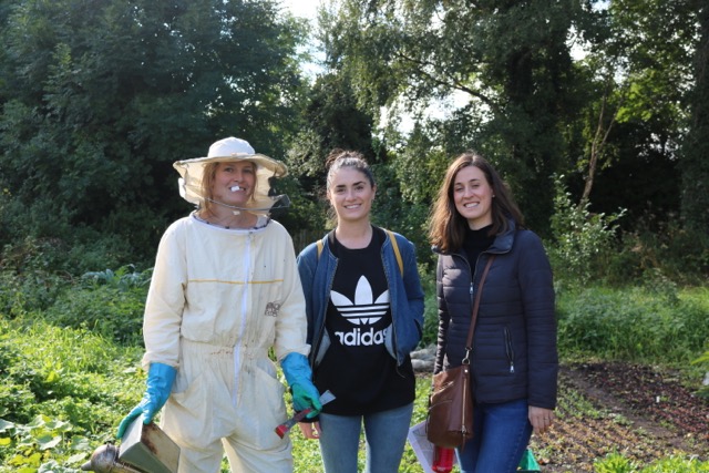 Meeting Saorla, DCU's Bee Keeper