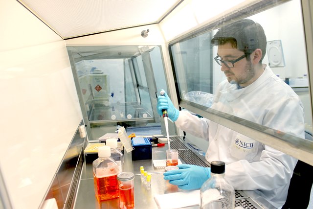 Cancer Research at DCU's NICB
