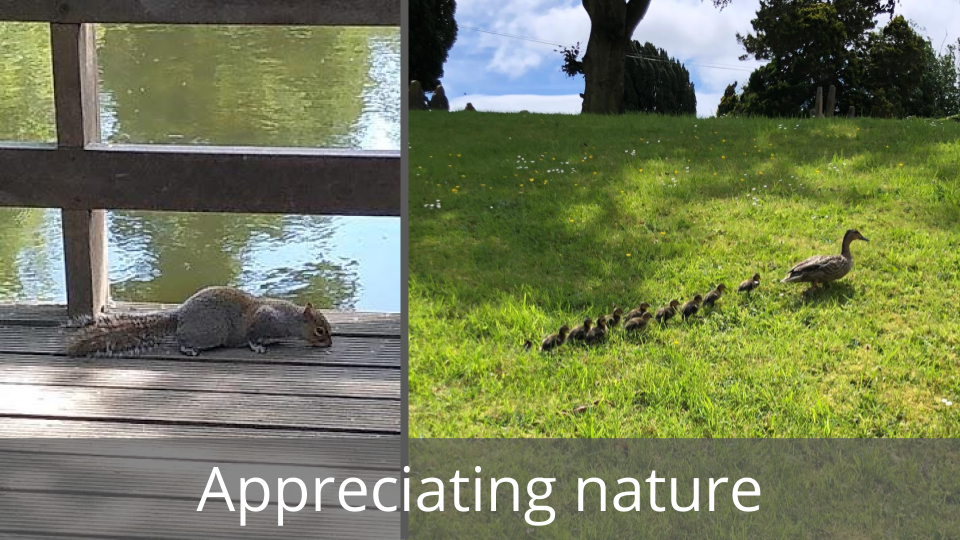 Appreciating nature