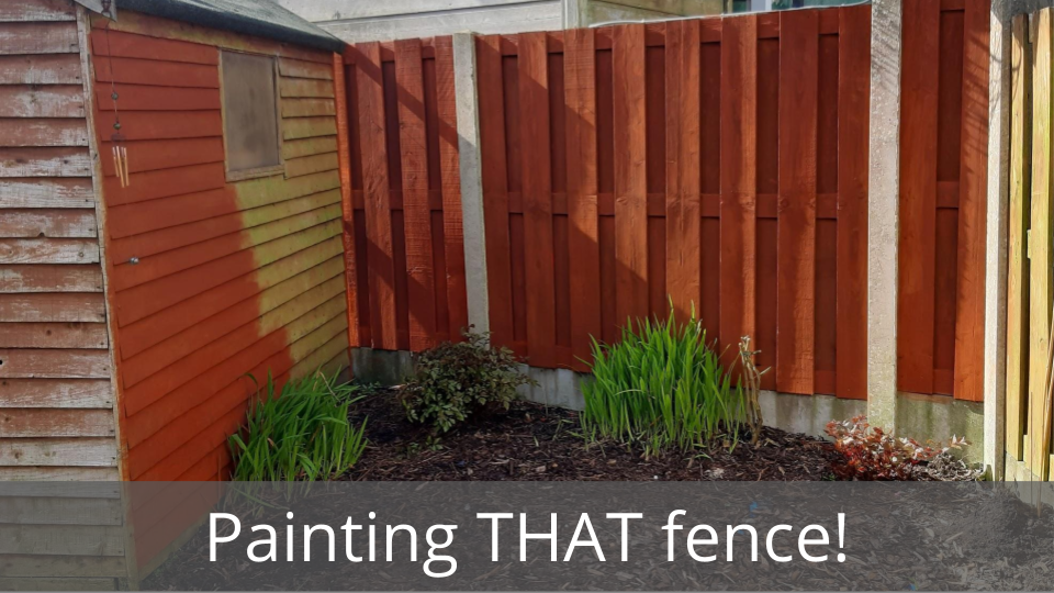 Painting THAT fence!