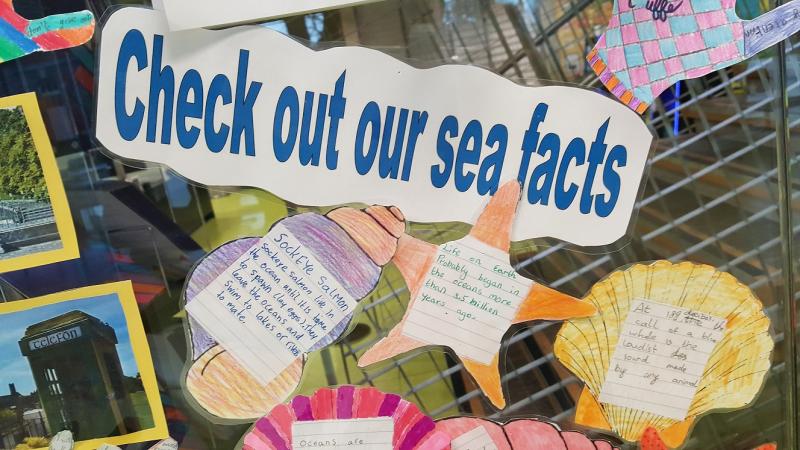 Sea Facts
