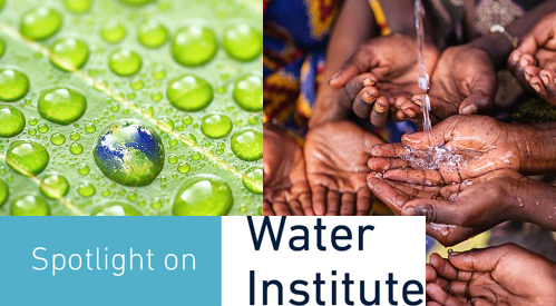 Water Institute banner