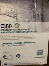 cim project flyer