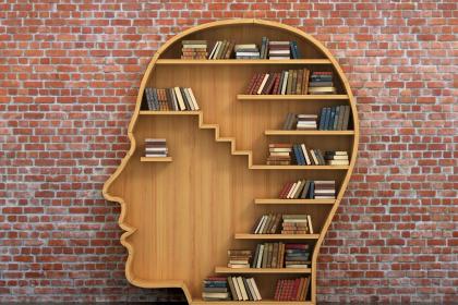 Bookshelf in shape of human head