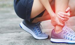 Development of synthetic tendon and ligament implants modelled on embryonic tendons receives €1 million in funding