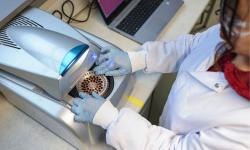 Researcher using core facilities