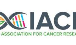 IACR Logo