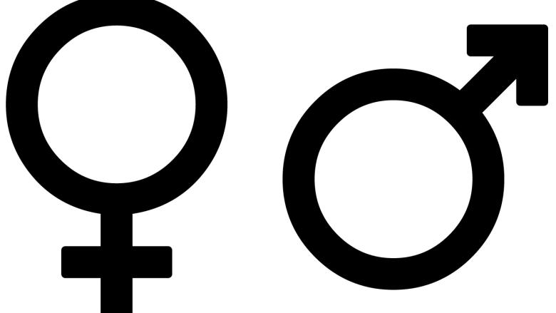 Sexuality Studies Public Webinars