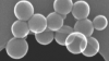 Microscopic greyscale image of 15 spherical particles 