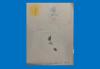 Donnacha Gubbins-Collins, Age 3