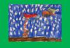 Matthew Murphy, Age 7