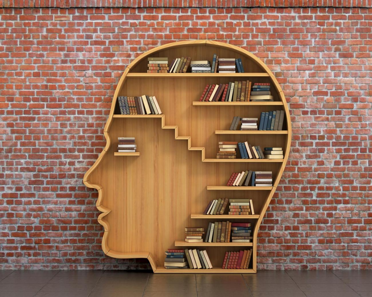Bookshelf in shape of human head