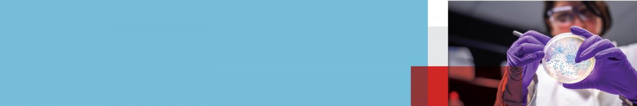 School of Biotech homepage banner