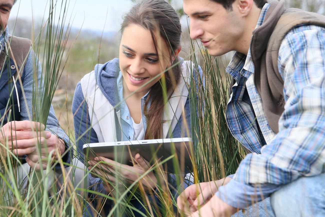 This image shows students working outdoors