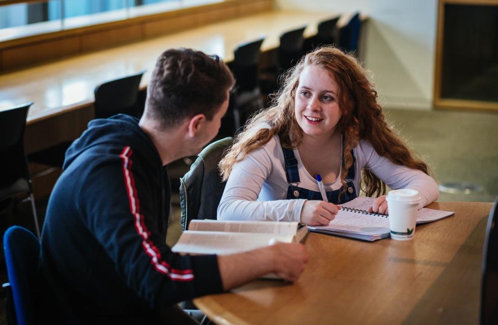 This image shows two students studying together in the library