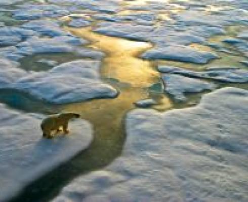 Climate Change and Sustainability