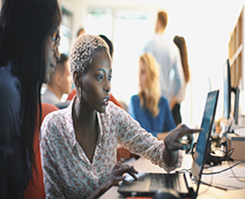 Search Courses