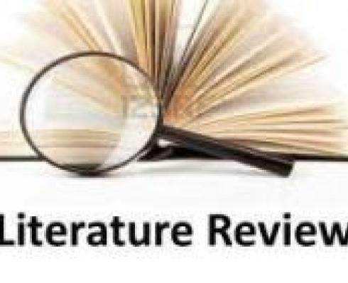 Literature Review