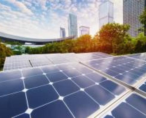Sustainability