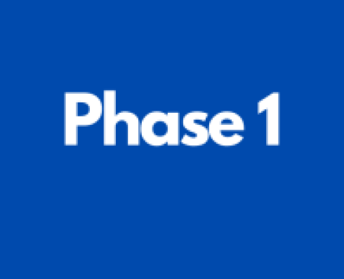 Phase 1 User Needs and Requirements
