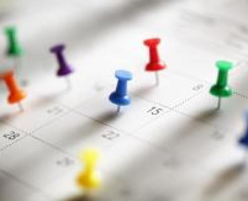 The Action Plan