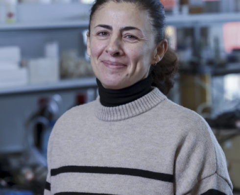 Profile picture of Dr. Mercedes Vázquez