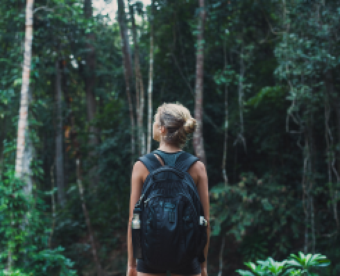 A woman with a backpack looking up into dense trees
