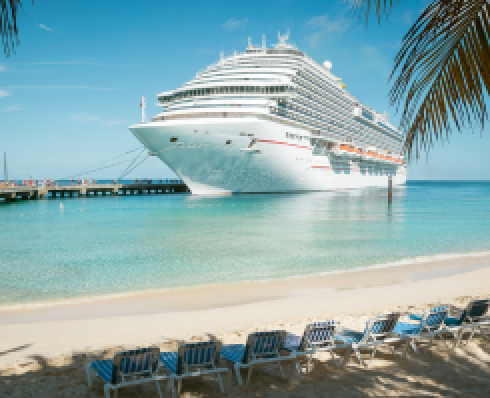 A large cruise ship seen from a tropical beach