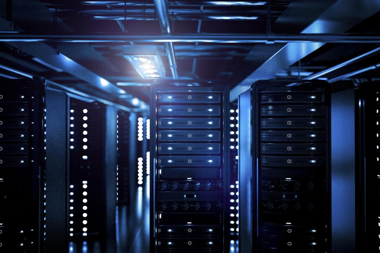 Management of Internet Enterprise Systems - servers