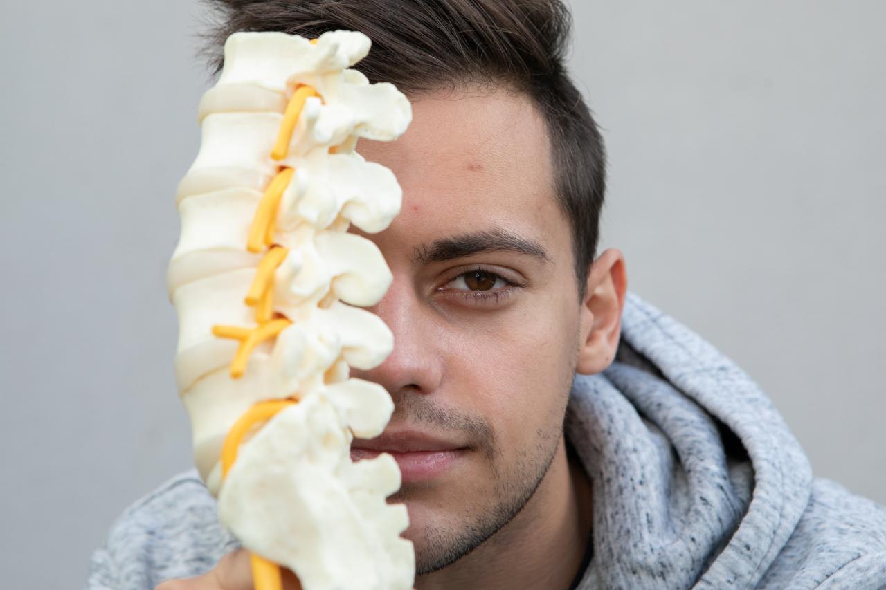 Student studying vertebrae