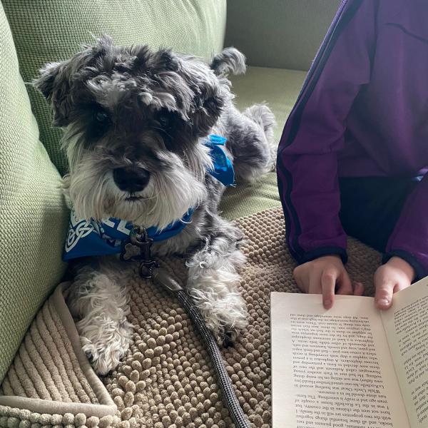 Colin the Reading Dog