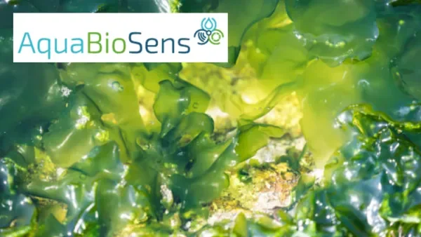 Ocean Algae with AquaBioSens Logo