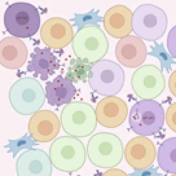 Rational therapeutic combinations with DXd-based ADCs image