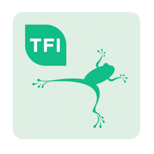 TFI Leap Card Top-up