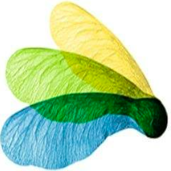 DCU CREATE logo