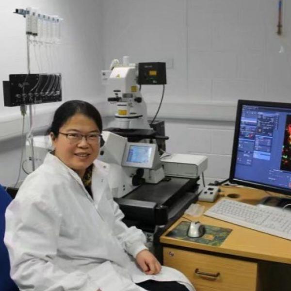 Profile picture of Jianghui Meng