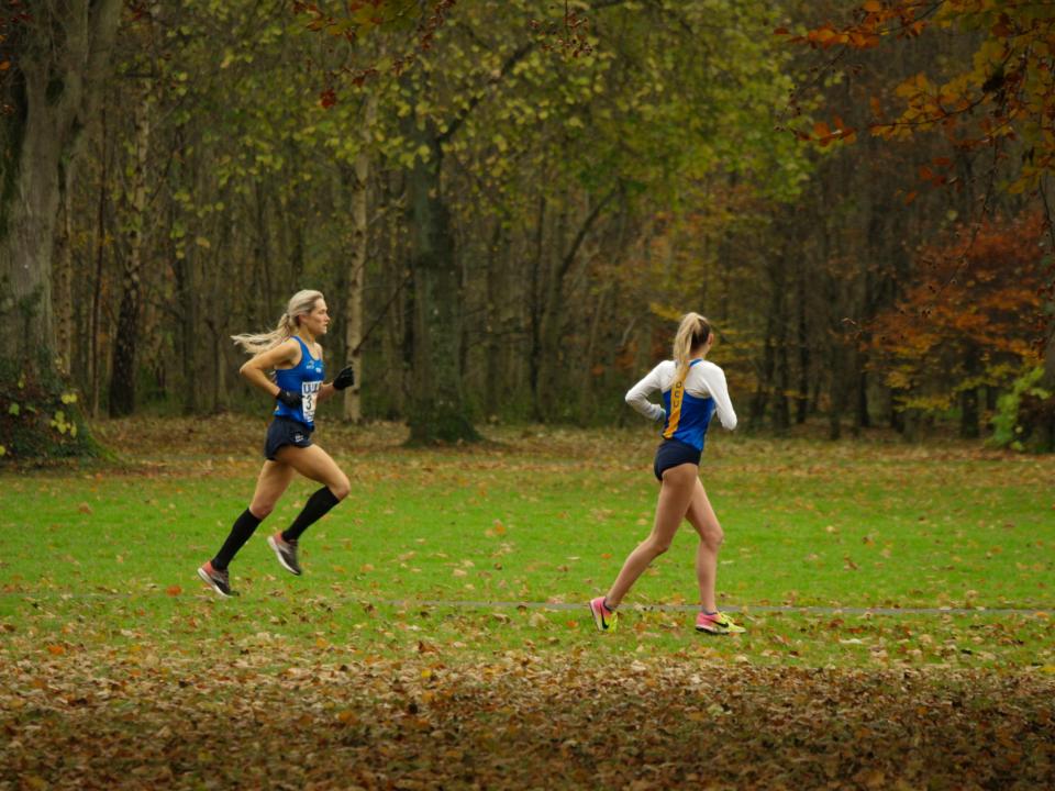 Road Relays 2019
