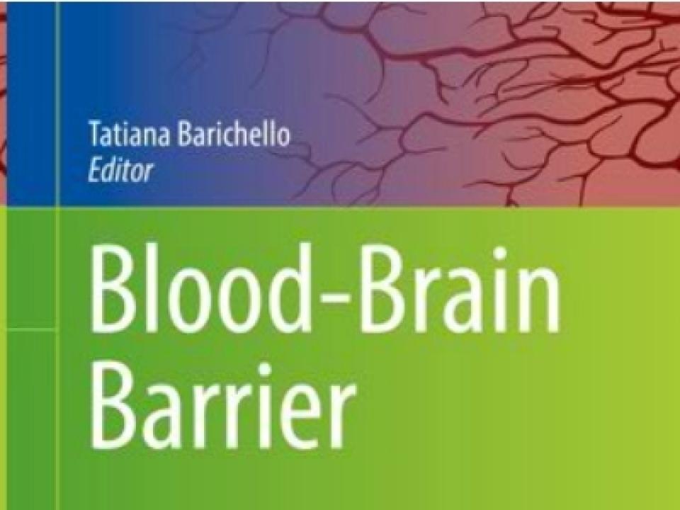 Blood Brain Barrier