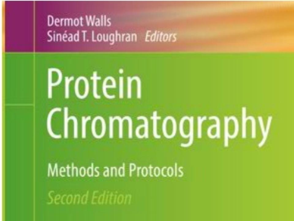 Protein Chromatography Second Edition